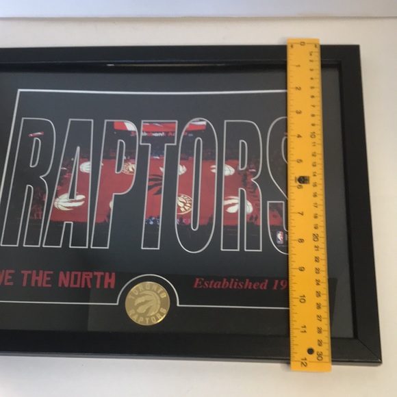 The Highland Mint Toronto Raptors Silhouette Photo with Solid Bronze Coin - Picture 5 of 8